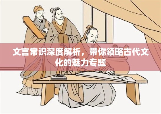 文言常识深度解析，带你领略古代文化的魅力专题