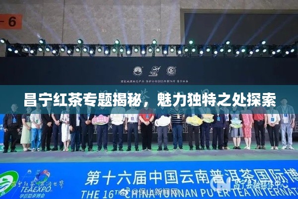 昌宁红茶专题揭秘，魅力独特之处探索