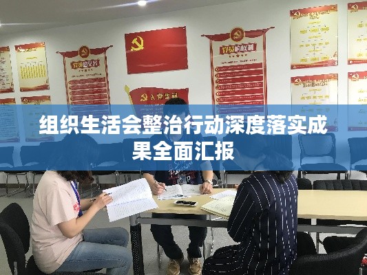 组织生活会整治行动深度落实成果全面汇报