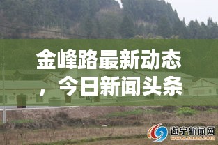 2025年6月7日 第2页