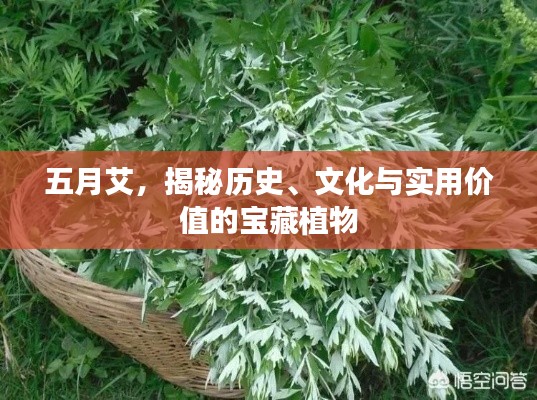 聚精会神