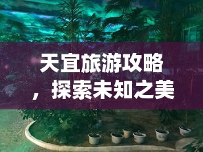 天宜旅游攻略，探索未知之美，畅游无限风光！