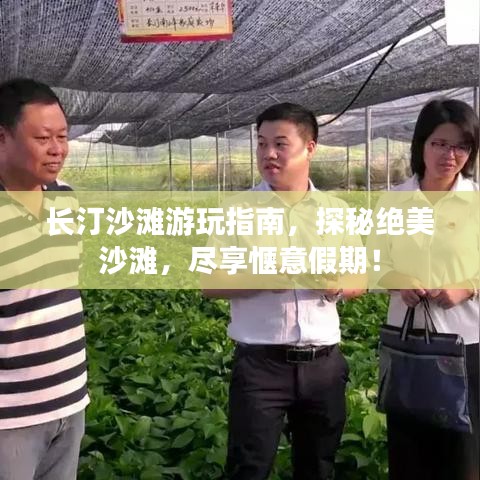 长汀沙滩游玩指南，探秘绝美沙滩，尽享惬意假期！