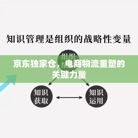 京东独家仓，电商物流重塑的关键力量
