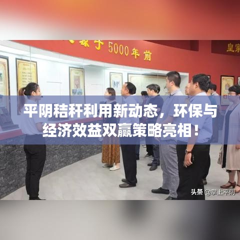 平阴秸秆利用新动态，环保与经济效益双赢策略亮相！