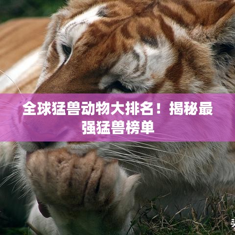 全球猛兽动物大排名！揭秘最强猛兽榜单