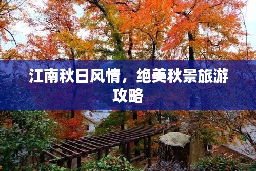 江南秋日风情，绝美秋景旅游攻略